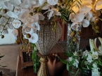 /imagens/1048/145x109IMG_20240720_150851.jpg