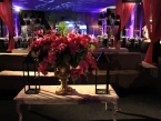 /imagens/849/145x109IMG_7168.jpg