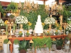 /imagens/891/145x109IMG_6846.JPG